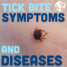 "tick bite symptoms and diseases" against tick bite background