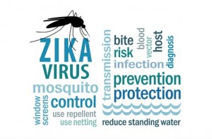 Zika Virus related word collage