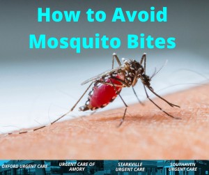 Mosquito biting human arm